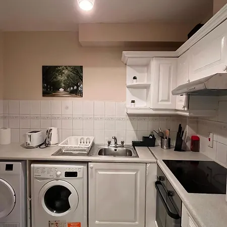 Cosy Temple Bar 公寓 都柏林